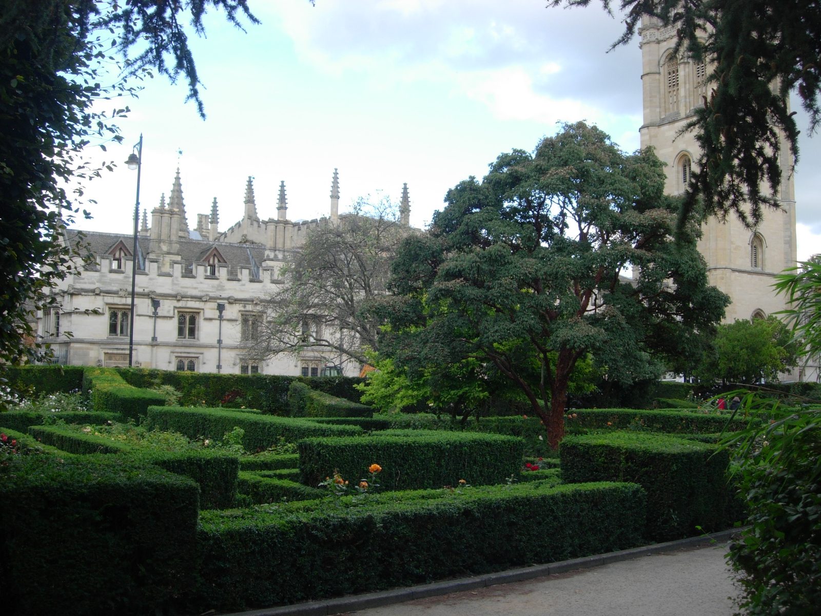 In the Rose Garden opposite my house. Magdalen is in the background