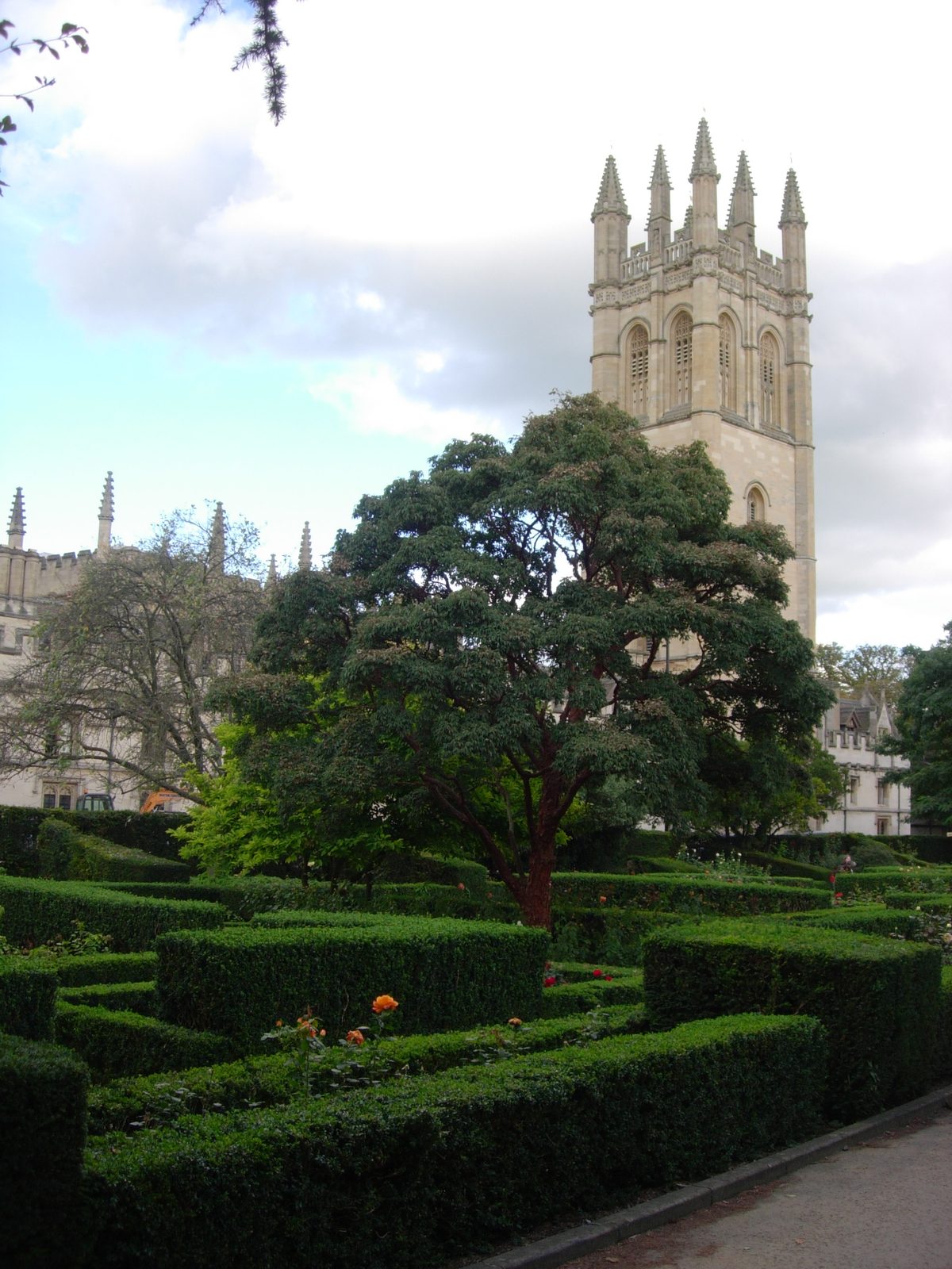 More of the Rose Garden