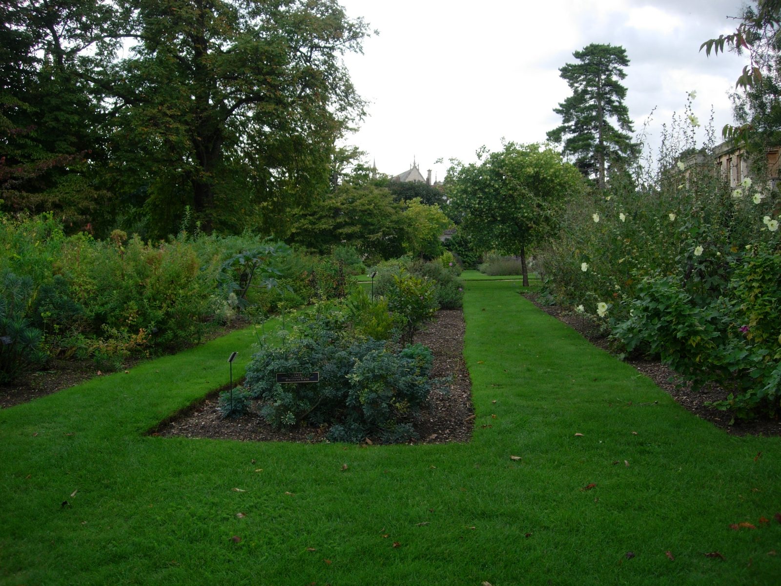 It's still quite lush in early October