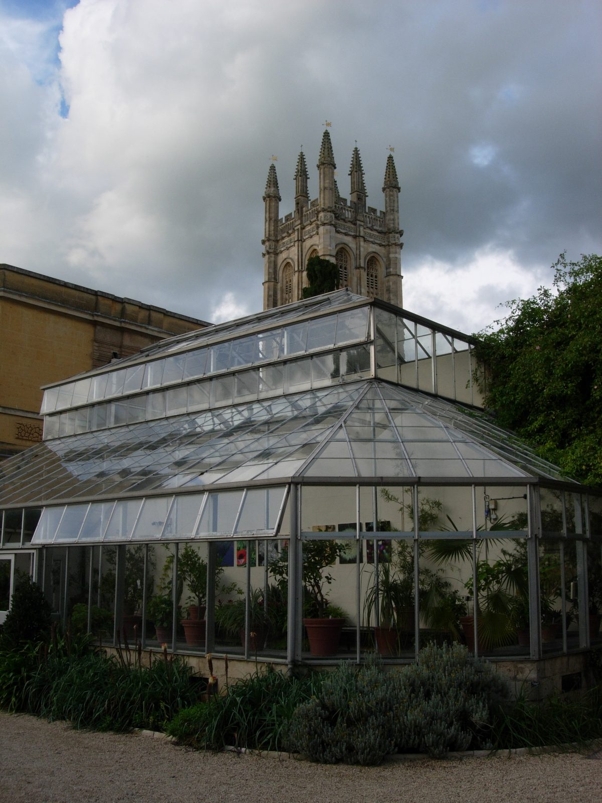 Magdalen Tower behind the greenhouse