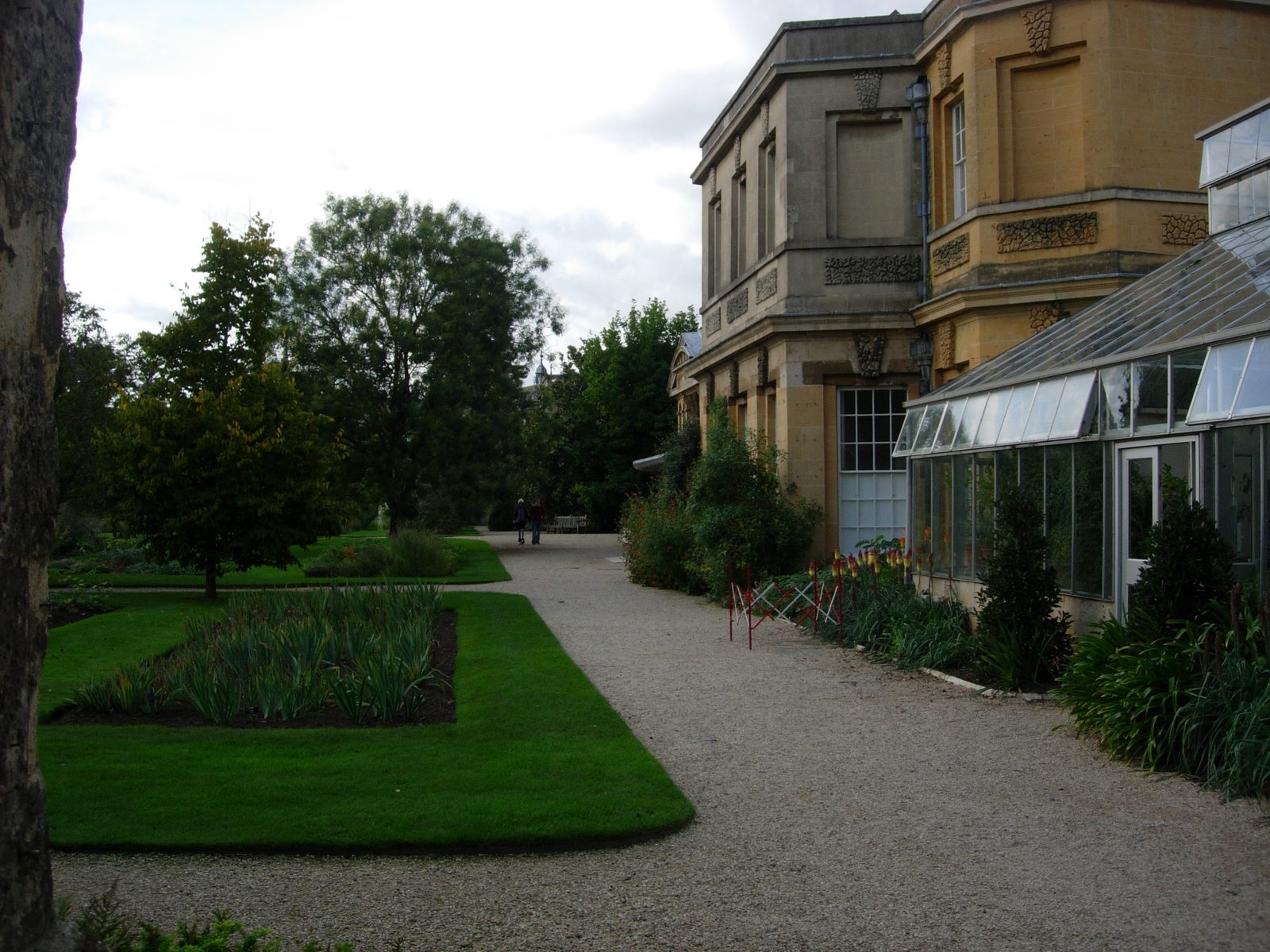 More of the greenhouse and garden