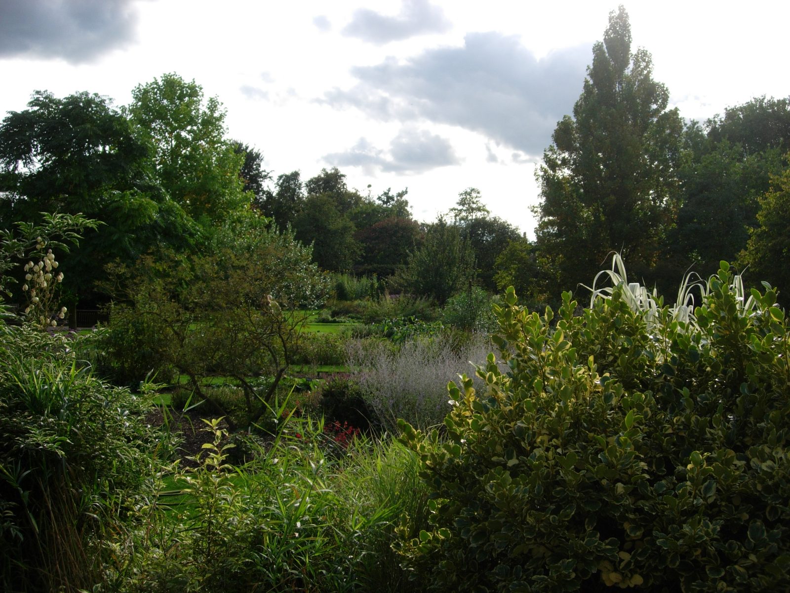 Now this is how I imagined England; too bad it takes a small army of horticulturalists to...