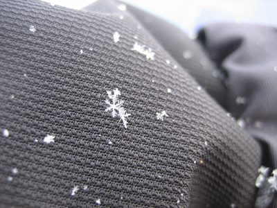 The snowflakes on the 30th were beautiful and perfect. ...