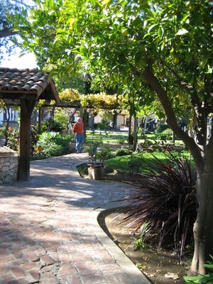 Dad wandering in the garden outside the Mission.