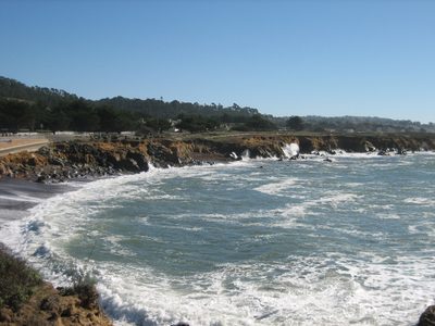 Love love love and miss the ocean.