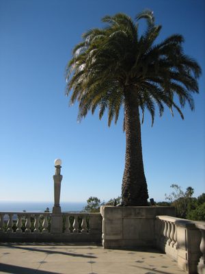 Palm tree on the balcony of Hearst Castle.