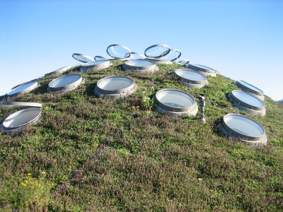 Living roof of the California Academy of the Sciences.