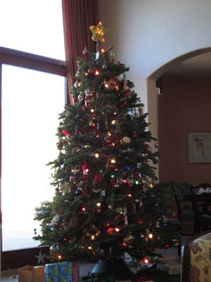 Merry Christmas, Tucson-style!