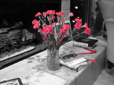 Christmas carnations.
