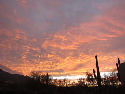 Amazing Tucson sunset.  Or actually, maybe sunrise?  I...
