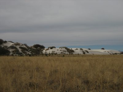 Jay and I got out at White Sands National Monument...