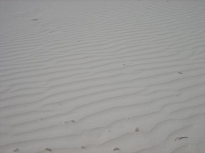 Waves in the sand.