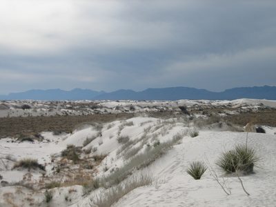 Off in the distance, a storm was brewing.  Fortunately,...