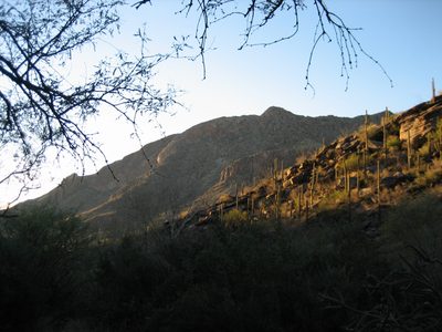 Looking back down canyon; I think this is where we turned around.