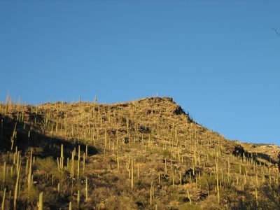 Looking up canyon.  I'm really not sure where the trail...