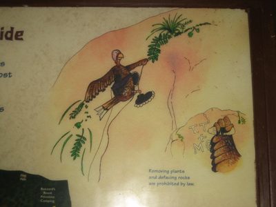 There's an info sign on the main trail, aimed towards...