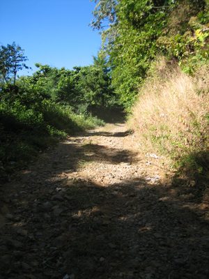 The road gets worse...