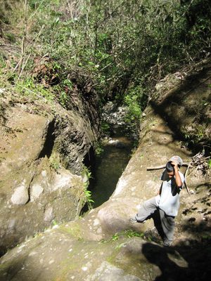 You want me to jump where?  No, seriously, the first...