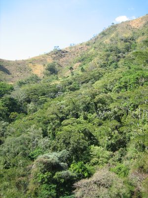 Looking out to the hillside across from the 70m...