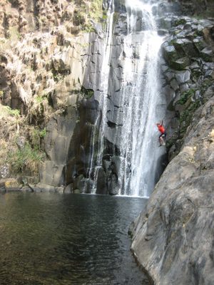 Wheee!  This was a very, very long fall.  Like, possibly...