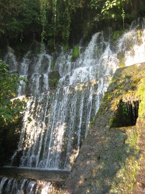 The waterfalls!  The falls were really springs that came...