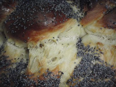 Obligatory pictures of gluten strands.