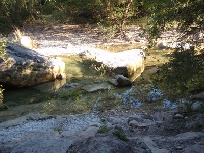 Looking at Barton Creek in the Greenbelt in Austin. ...