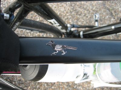 Meep meep!  Mom sent me an awesome little roadrunner...