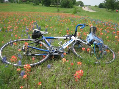 Kate's bike in the flowers, with riders passing in the...