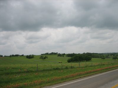 Cows, horses, or other such livestock.  It really was...