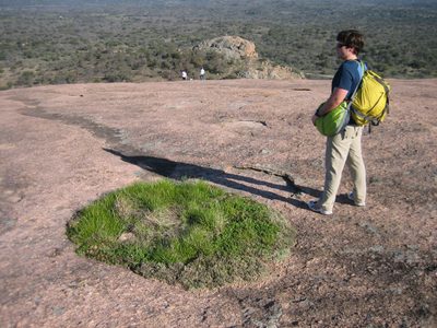 Jay ponders the yonder near one of the only patches of...