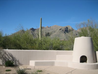 Back patio, with a big saguaro cactus visible and the...