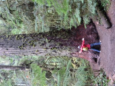 Jay hugs the biggest tree we saw.