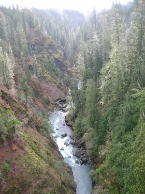 One more look upriver.