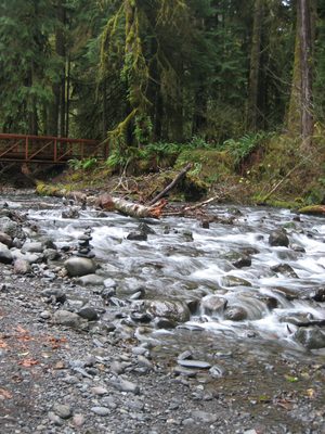 A fancy new bridge over the river... in the river was...