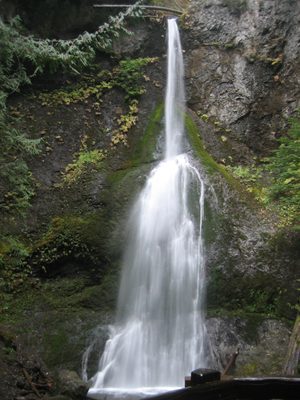 Marymere Falls!