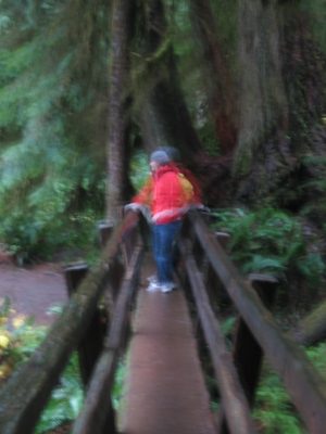 Blurry, but showing the other bridge over the river near...