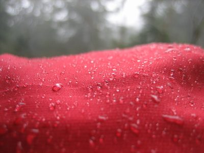 Water beading up on Jay's hood.  Note: it wasn't...