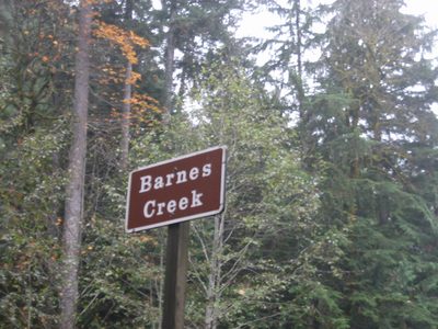 I believe this was the creek near Marymere Falls that we...