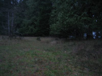 Sadly, we saw very little wildlife on our hikes this...