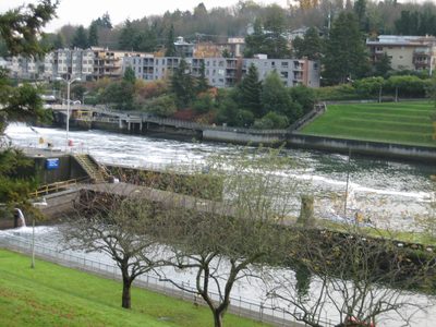 Looking down at the Sound side of the locks from a...