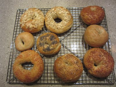 All the bagels (minus the one that had already been...