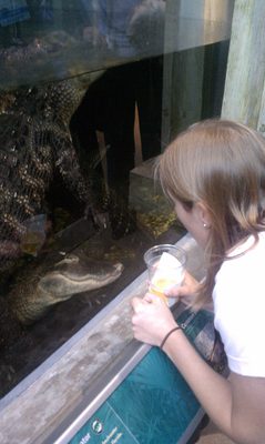 Catherine checking out a croco--- alligator, it seems,...