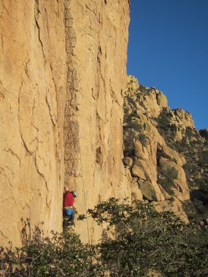Jay moves his way up the wall.