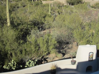 Looking down at the back patio, the kiva (with new...