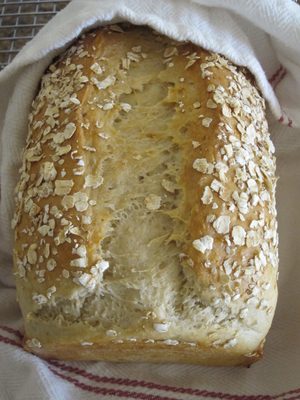 Not sure I'll be buying sandwich bread again any time soon!