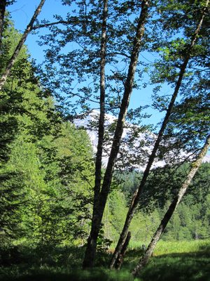 Jay and I arrived in Rainier around mid-morning, and...