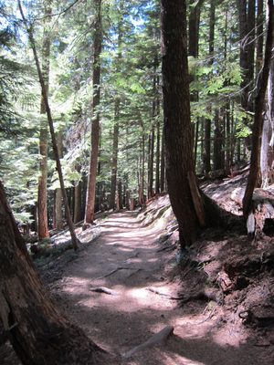The path less traveled... 
