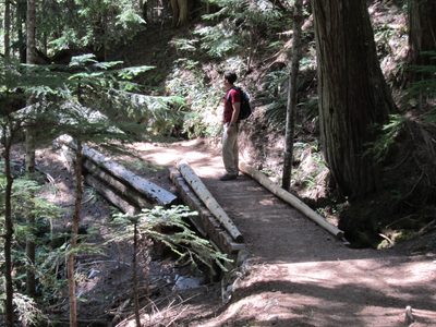 Jay on another bridge.