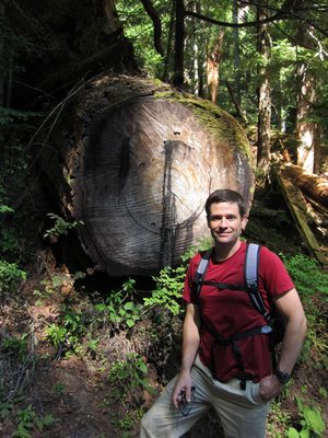 Jay in front of a fallen tree.